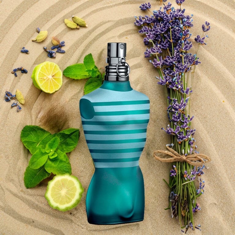 le male jean paul gaultier for men top notes