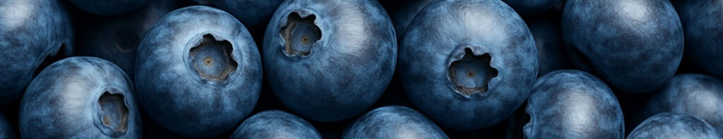 blueberry in perfumes