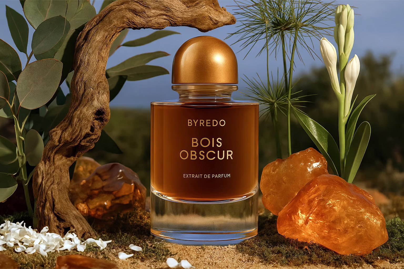 Byredo Bois Obscur Extrait de Parfum 2025 Byredo Bois Obscur Extrait de Parfum 2025