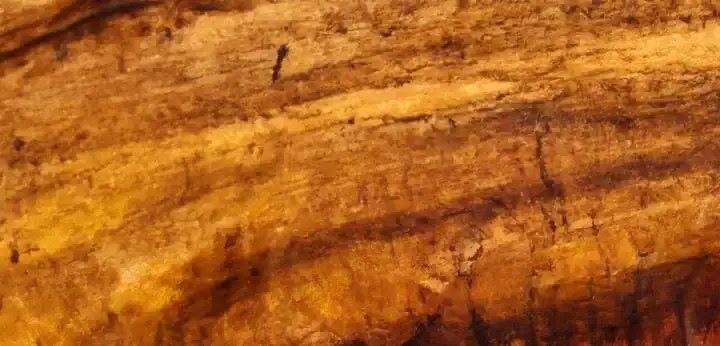 Amberwood note – smooth resinous woody base