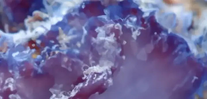 Ambroxan note – warm ambery texture