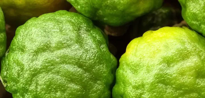 Bergamot note – luminous citrus tone with gentle aromatic sparkle