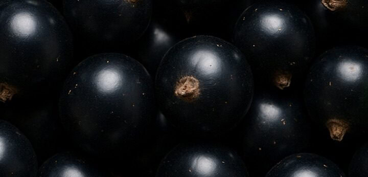 Blackcurrant note – crisp fruity nuance enhancing vibrancy