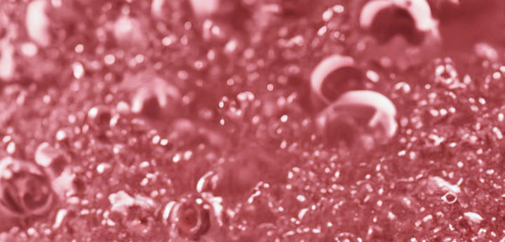 Champagne Rosé note – sparkling fruity floral tone