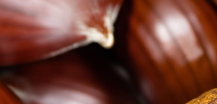 Chestnut – warm nutty accord giving ambery richness