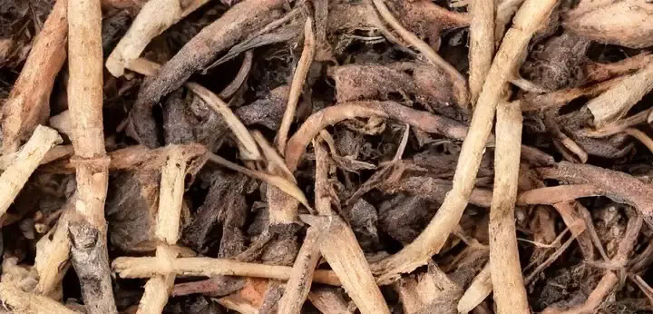 Cypriol note – woody smoky texture