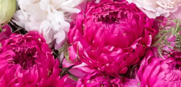 Nuty kwiatowe – świetlista świeżość bukietu