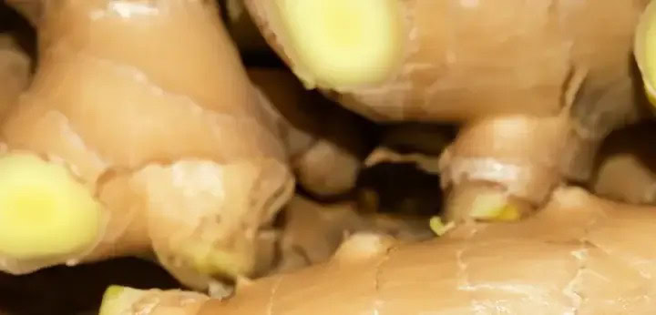 Ginger – sparkling spicy nuance adding energy to the top