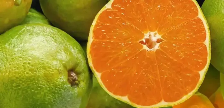 Green Mandarin note – vibrant citrus clarity and soft zest