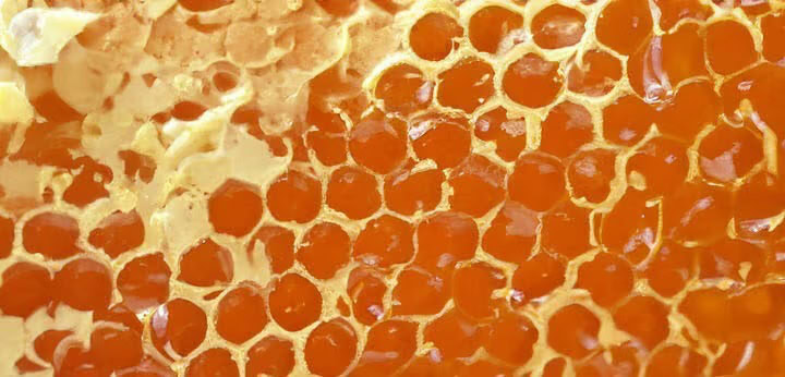 Honey note – sweet golden warmth