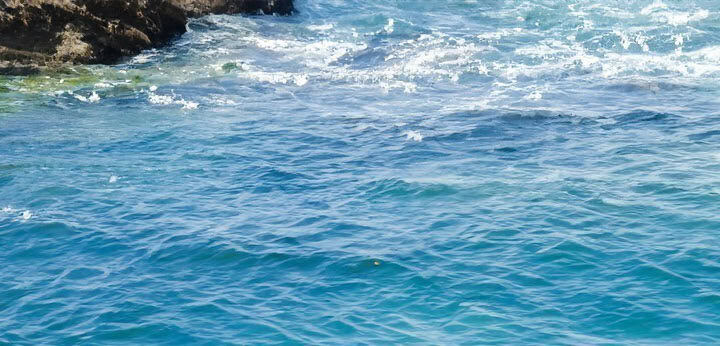 Marine Accord note – aquatic brightness opening the fragrance