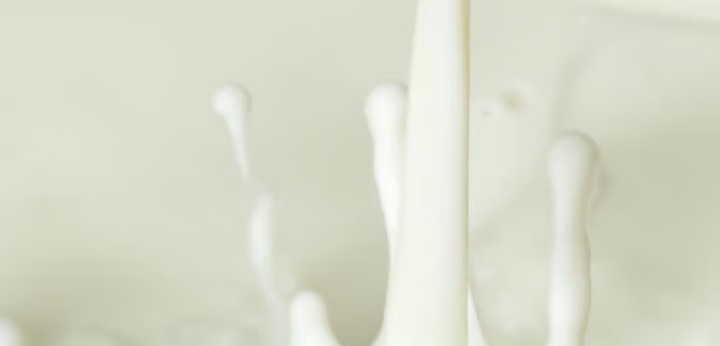 Rice milk – creamy heart note in Glossier You Soie