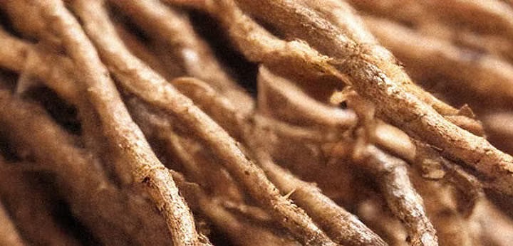 Orris note – soft floral powderiness