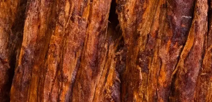 Oud note – smoky woody refinement