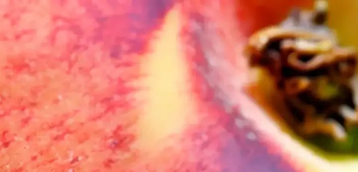 Peach note – fruity radiance adding golden brightness