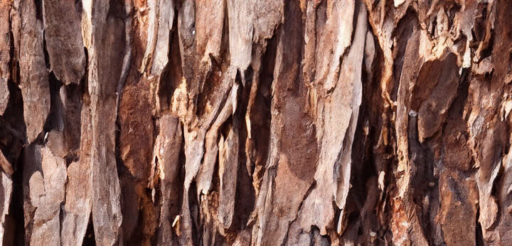 Peru Balsam note – warm balsamic tone adding smooth depth