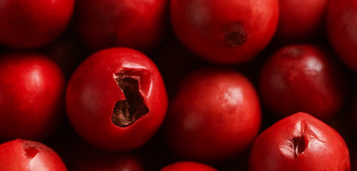 Pink Pepper note – lively aromatic brightness enhancing clarity