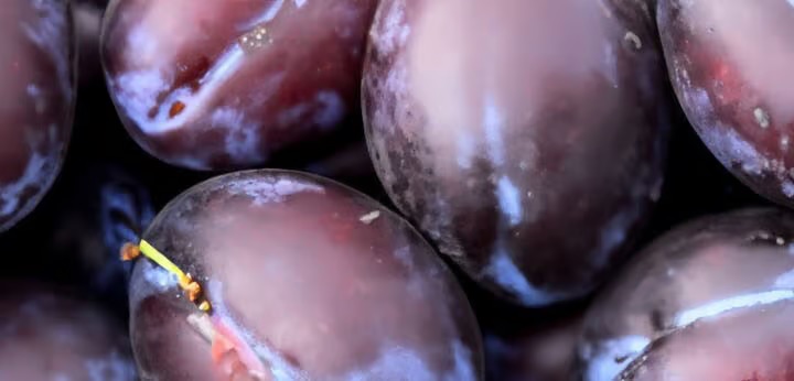 Plum note – dark fruity sweetness