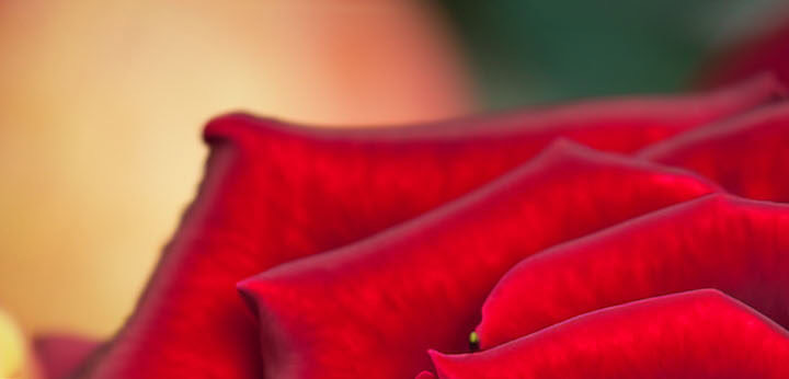 Pomarose note – modern fruity molecule with rosy depth