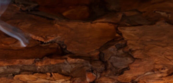 Queenwood note – soft woody sensuality and elegant warmth