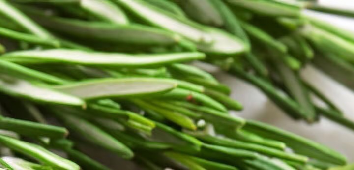 Rosemary note – crisp green herbal tone