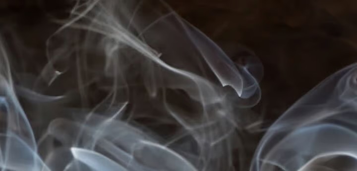 Smoke note – fine smoky veil enriching the woody base