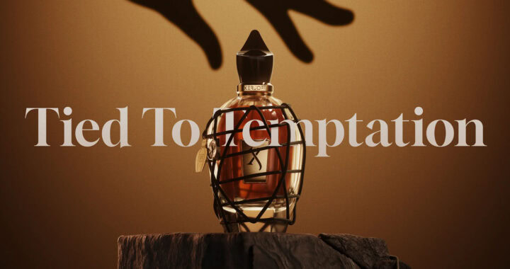 Xerjoff P.13 Parfum – The Art of Desire in the Sketchbook Collection