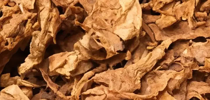 Tobacco note – smoky aromatic tone adding warmth and texture