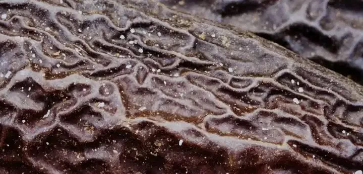 Tonka Bean note – soft warm sweetness