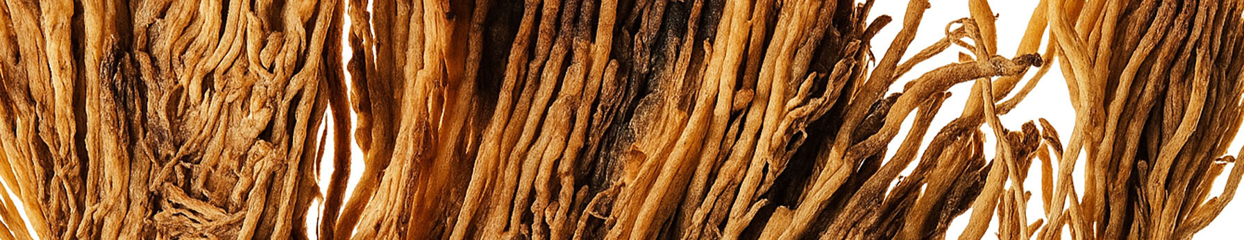 Uruguay Vetiver note – smoky woody tone with subtle greenness