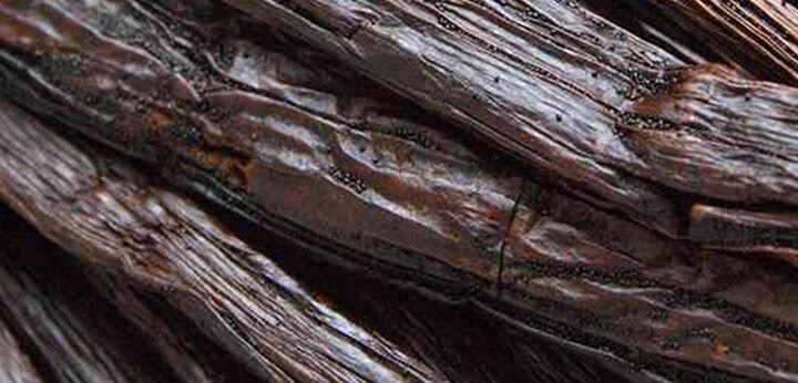 Madagascar Vanilla note – soft gourmand depth with rich sensual tone