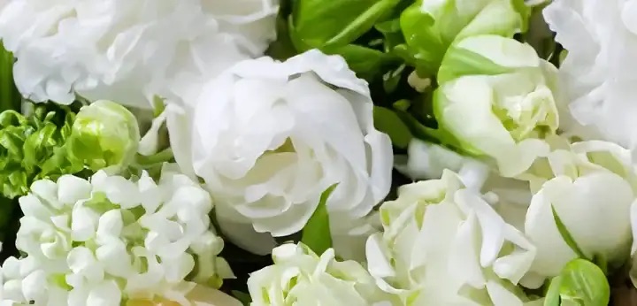 Golden Flower Accord – creamy radiant floral