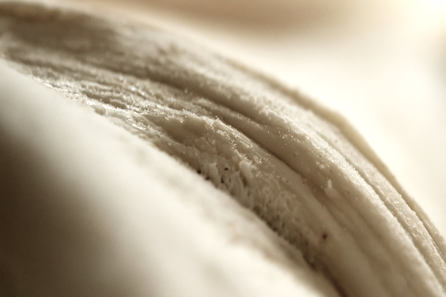 White Musk note – clean sensual warmth