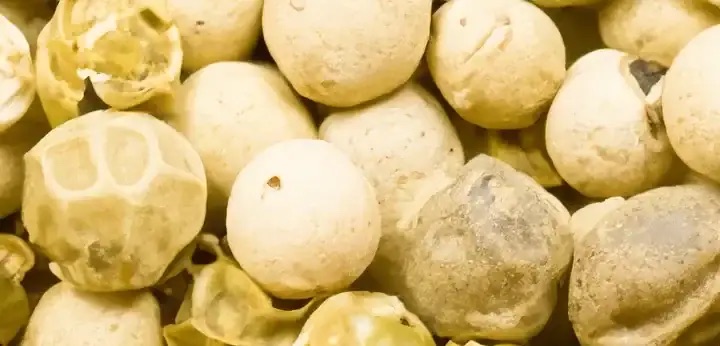 White pepper note – clean spicy nuance