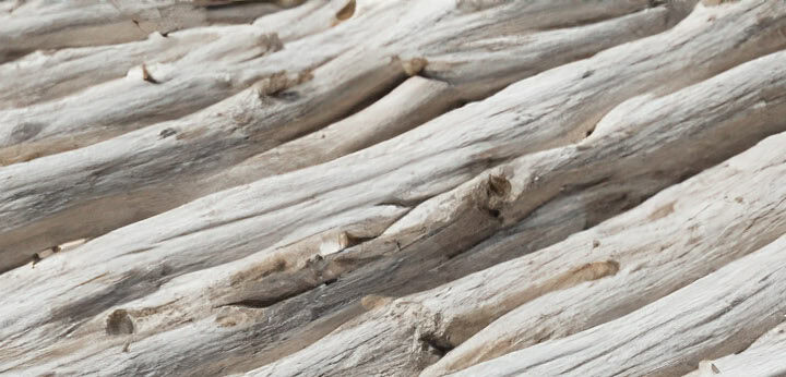 White Woods note – clean woody softness