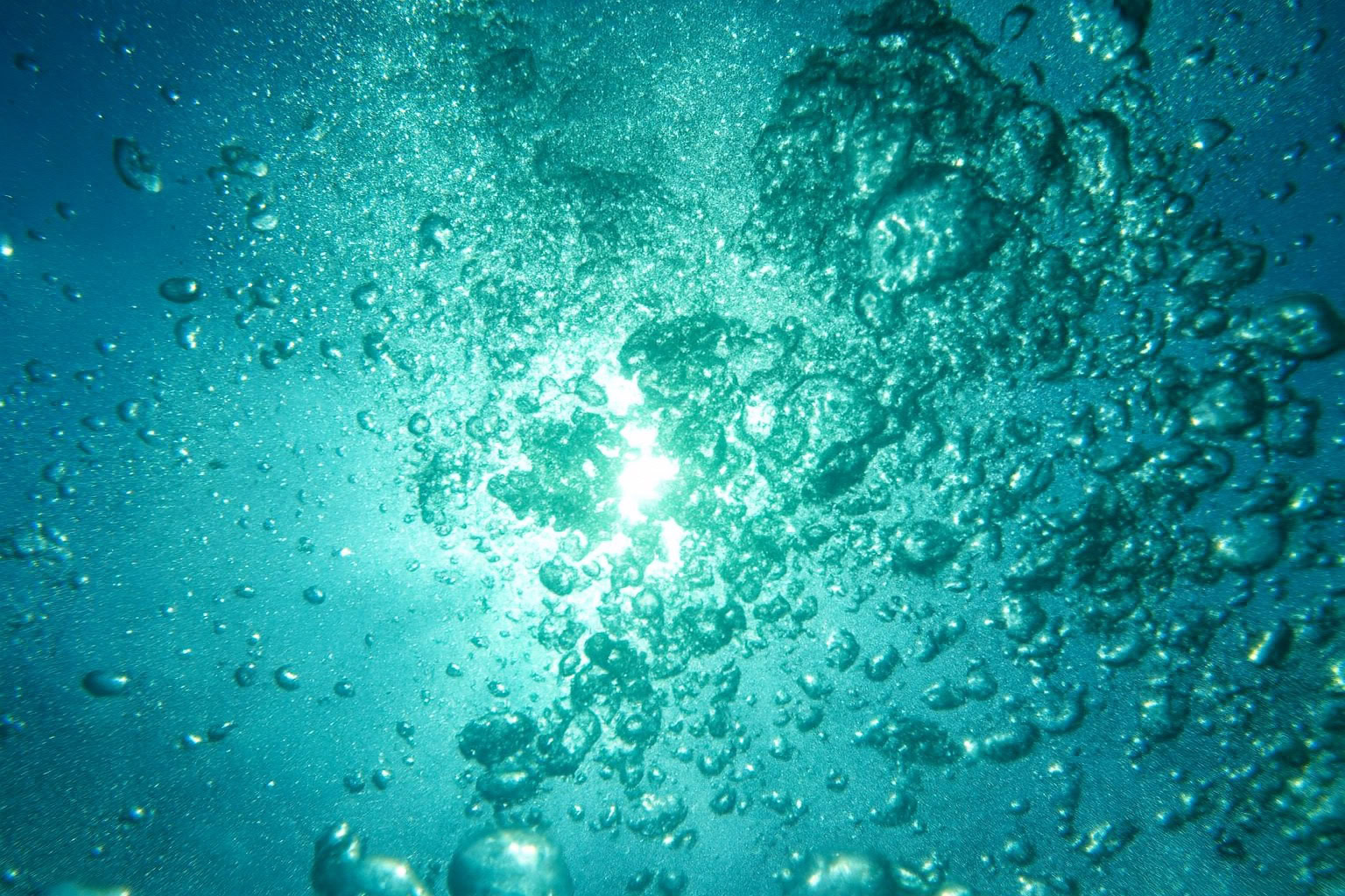 Aquatic accord – watery freshness