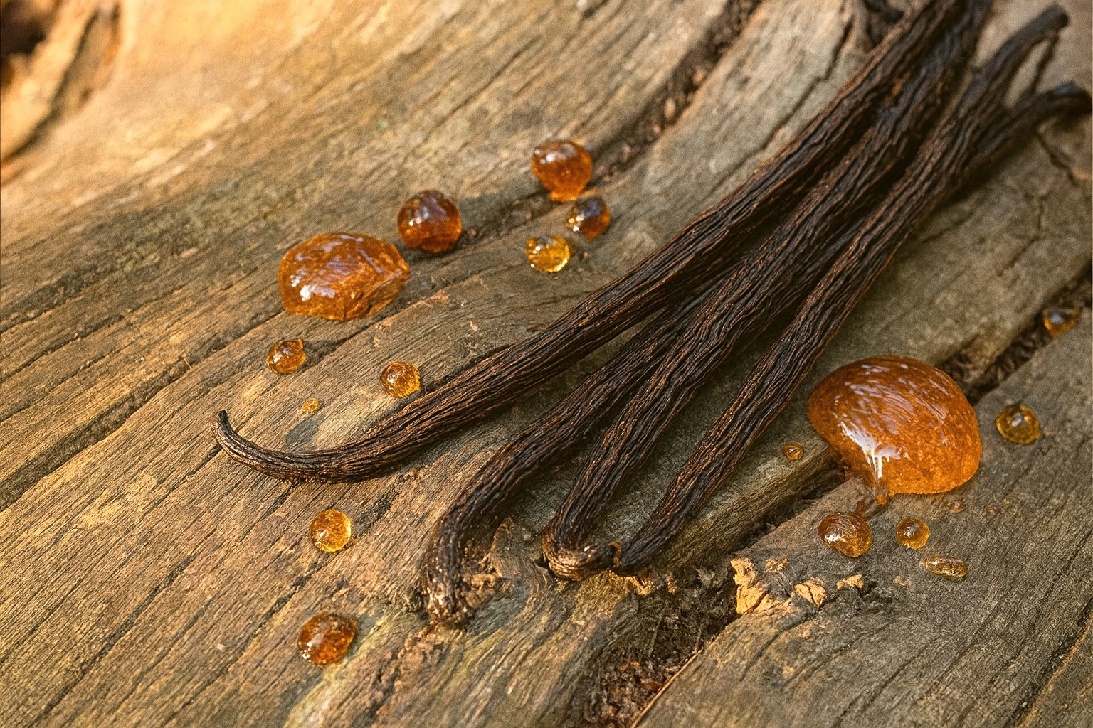 Vanilla Wood accord – warm creamy base