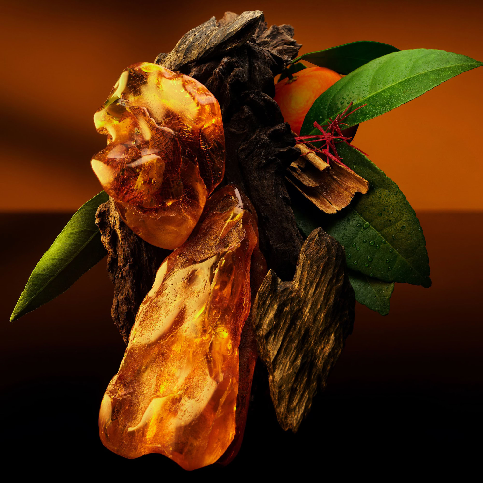 louis vuitton ambre levant lp0368 pm1 interior view 2