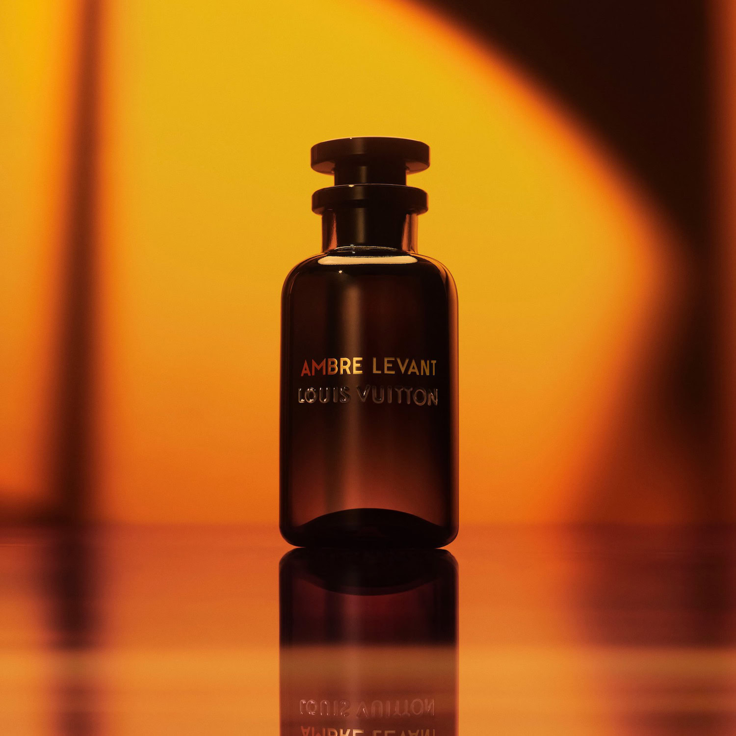 louis vuitton ambre levant lp0368 pm1 worn view 2