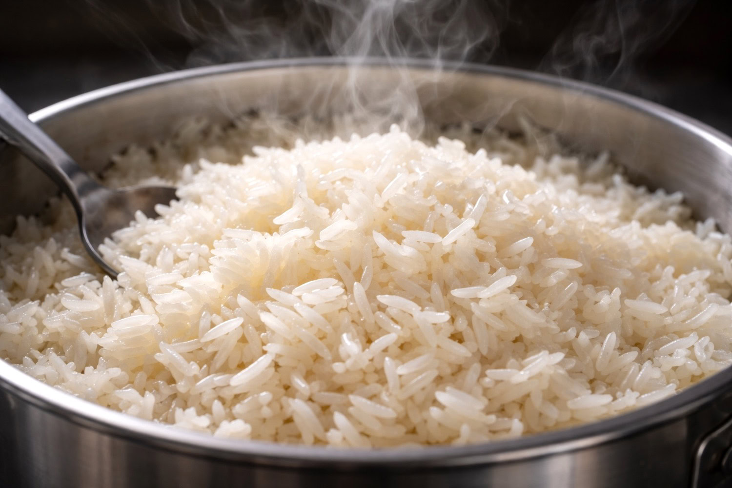 Rice note – soft and creamy nuance