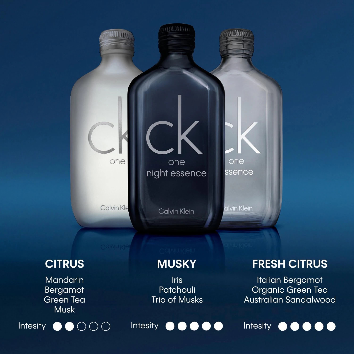 Calvin Klein CK One Night Essence Parfum Intense Aromatic Woody Leather Musky Fragrance for Men