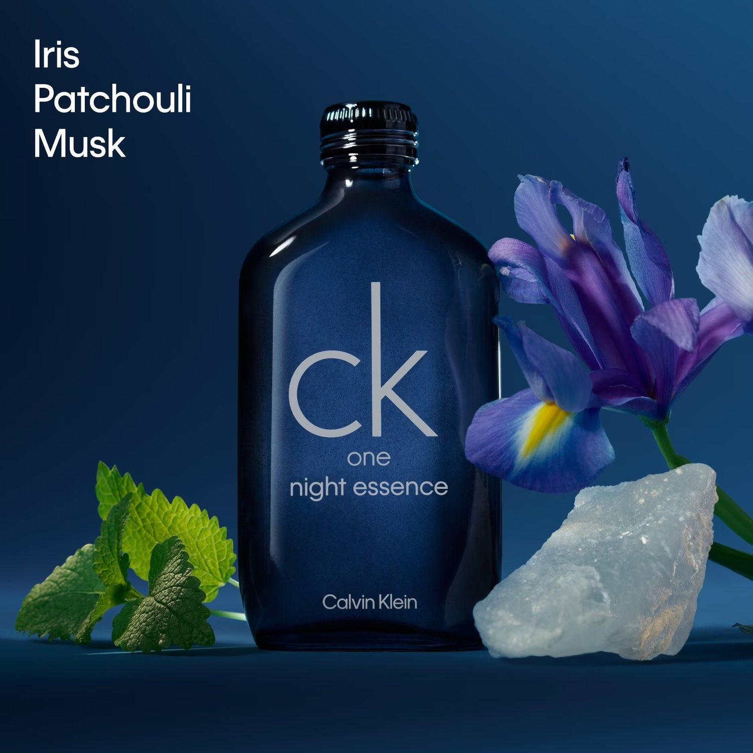 Calvin Klein CK One Night Essence Parfum Intense Aromatic Woody Leather Musky Olfactory Signature for Men