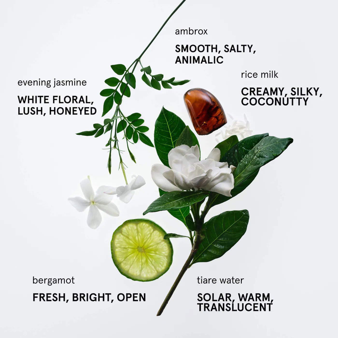 Glossier You Soie Eau de Parfum A Floral Musky Solar Composition for Everyone