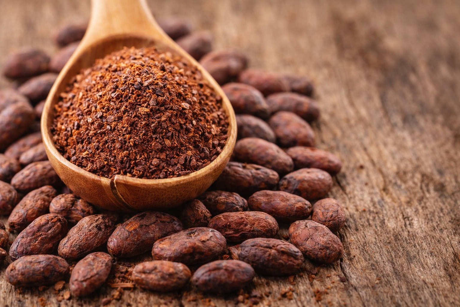 Cocoa – gourmand base note in Rochas Audace